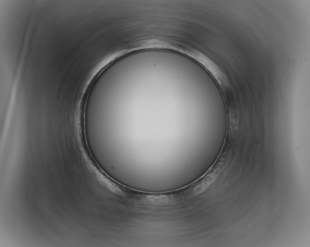 X0000111141142200907071044