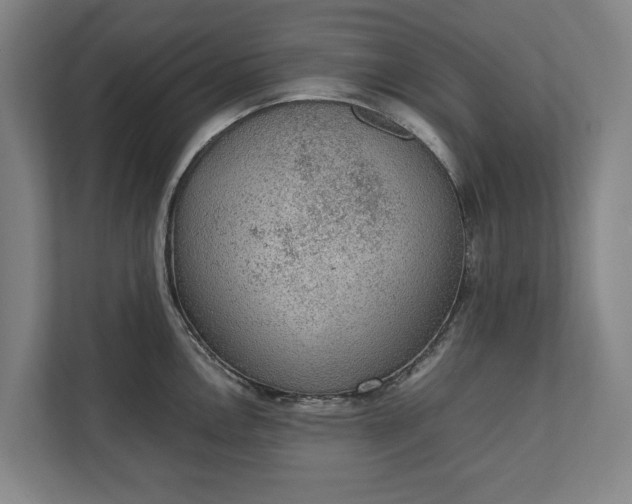 X0000111141146200907071044