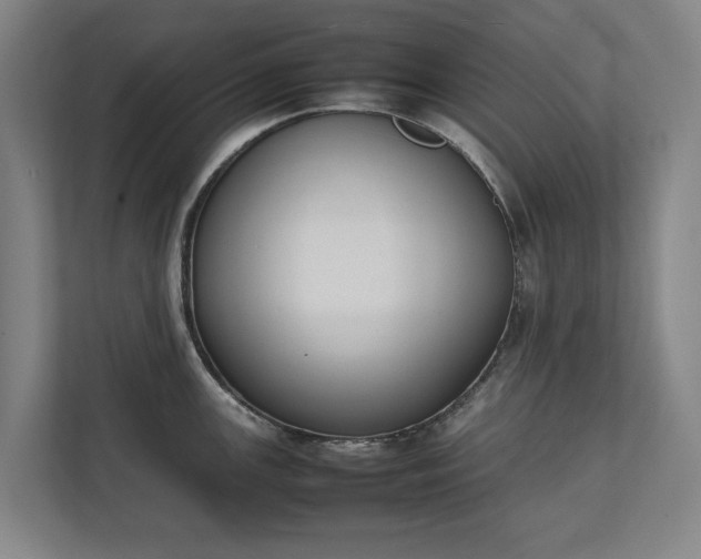 X0000111141147200907071044