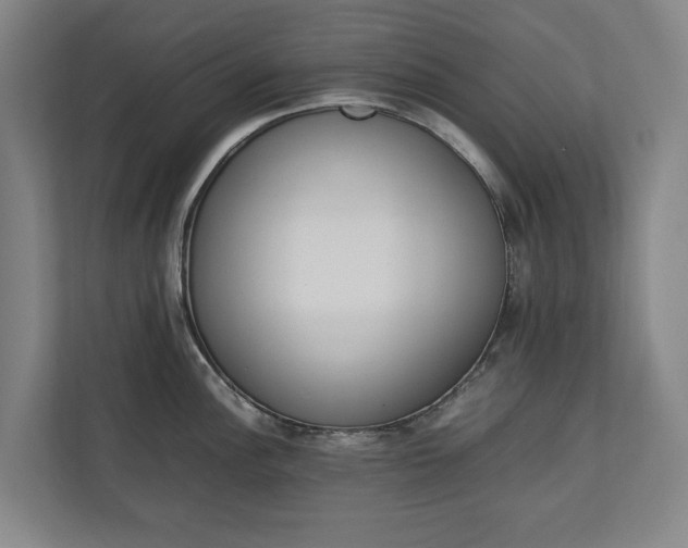 X0000111141148200907071044