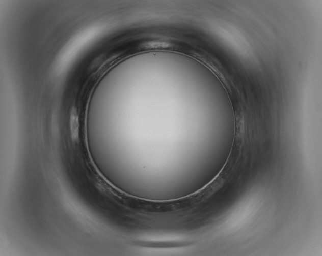 X0000111141151200907071044