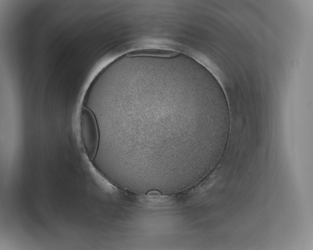 X0000111141152200907071044