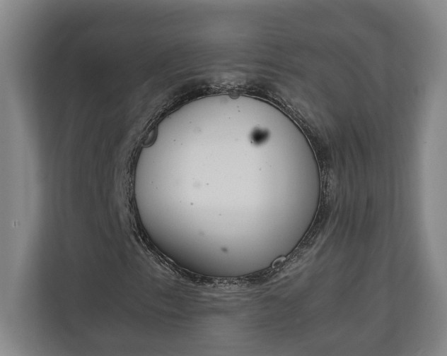 X0000111141153200907071043