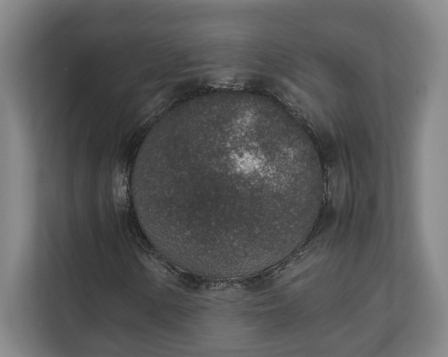 X0000111141154200907071043