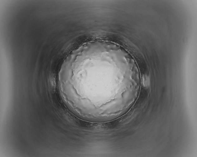 X0000111141155200907071043