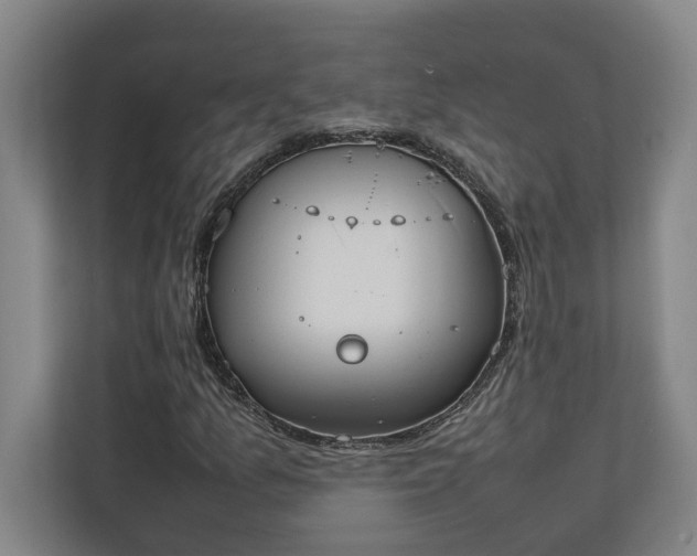 X0000111141157200907071043