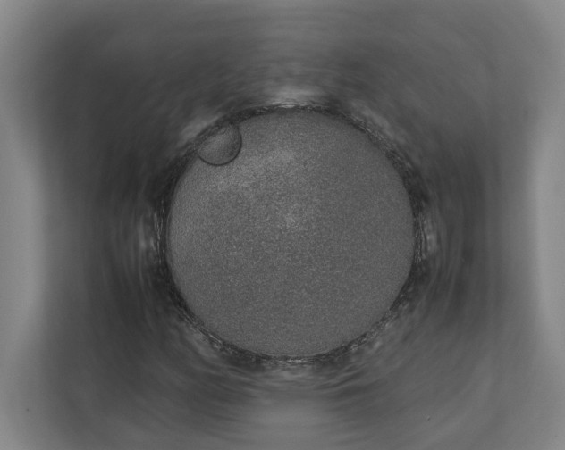 X0000111141158200907071043