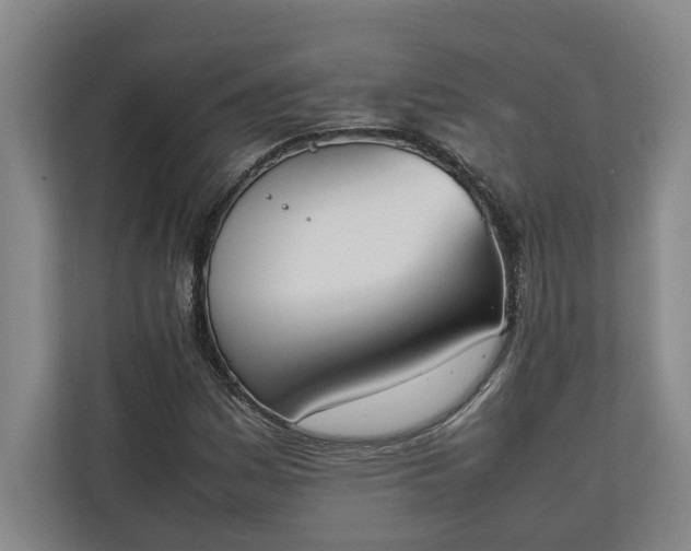 X0000111141161200907071043