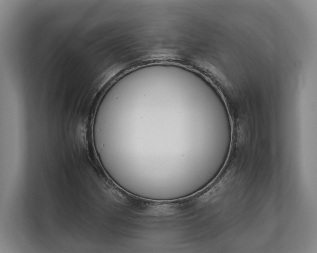 X0000111141162200907071043