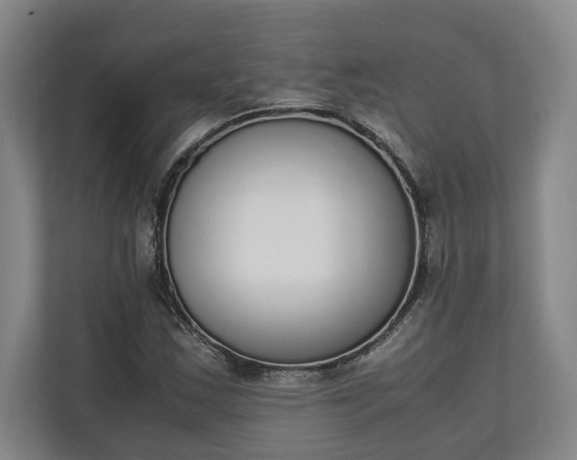 X0000111141163200907071043