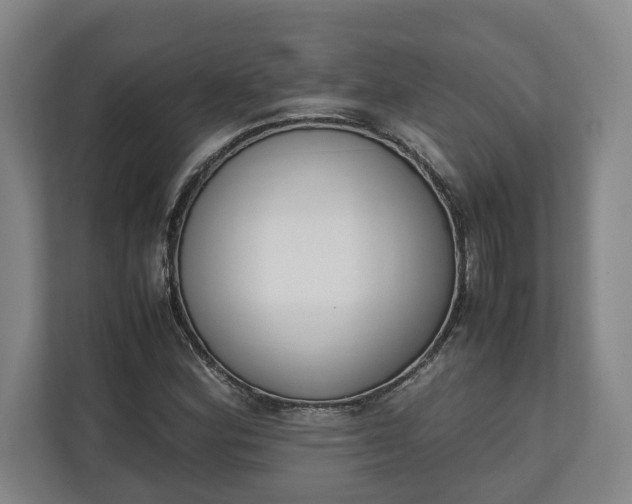 X0000111141164200907071043