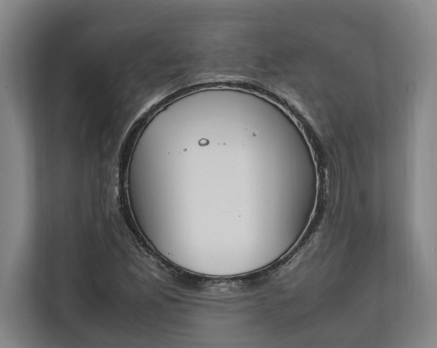 X0000111141165200907071043