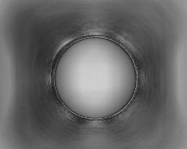 X0000111141166200907071043