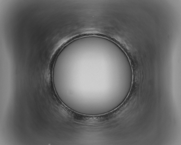 X0000111141167200907071043