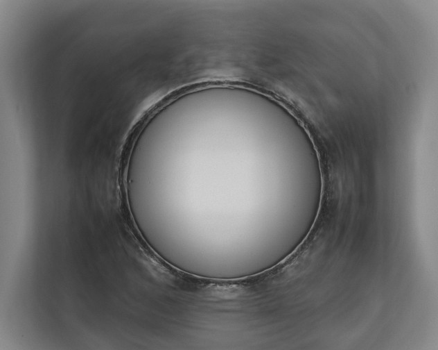 X0000111141168200907071043