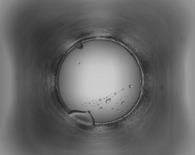 X0000111141169200907071043