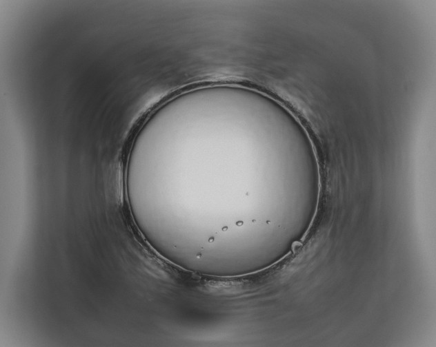 X0000111141171200907071043