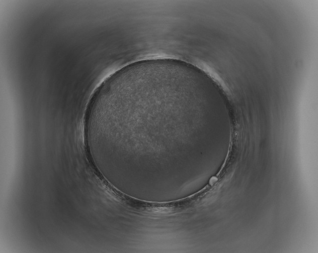 X0000111141173200907071043