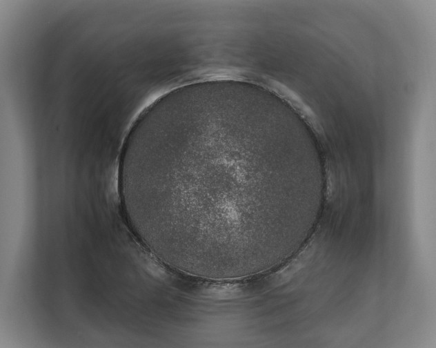 X0000111141174200907071043