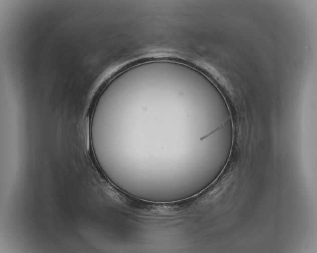 X0000111141175200907071043