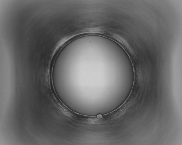 X0000111141176200907071043