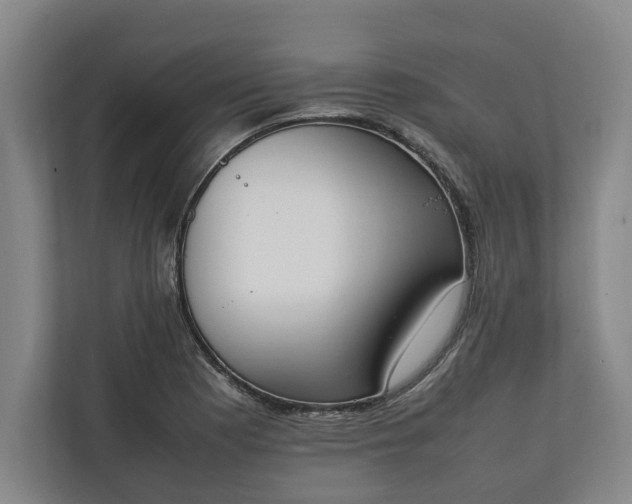 X0000111141177200907071043