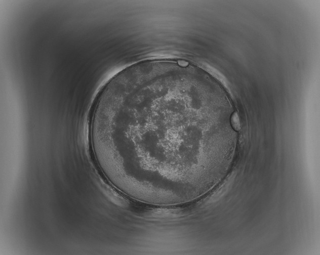 X0000111141179200907071043