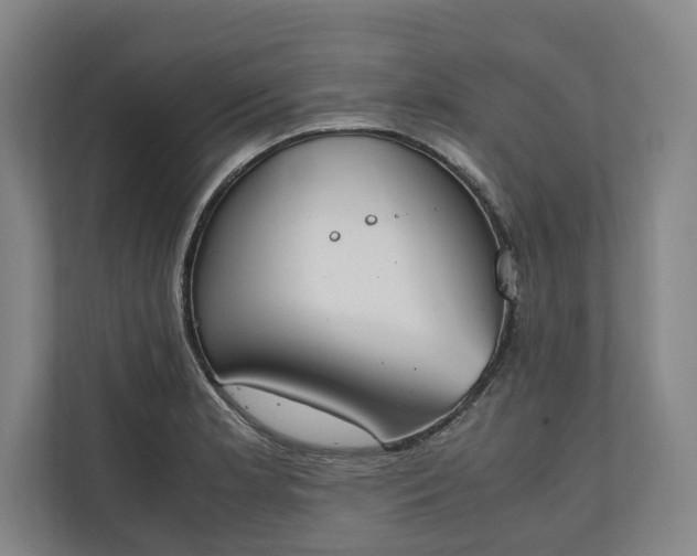 X0000111141181200907071043