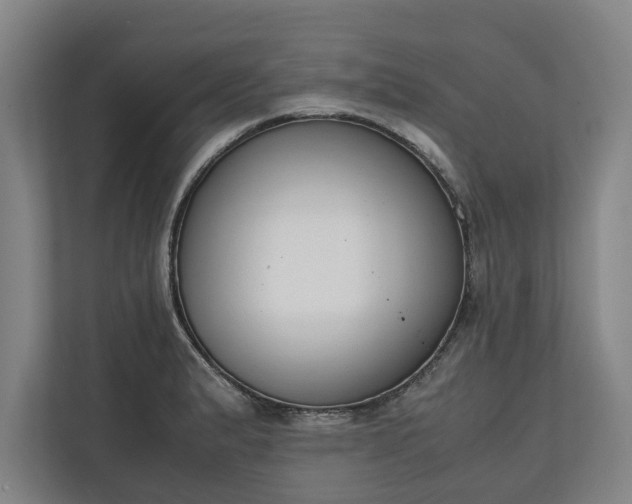 X0000111141183200907071043