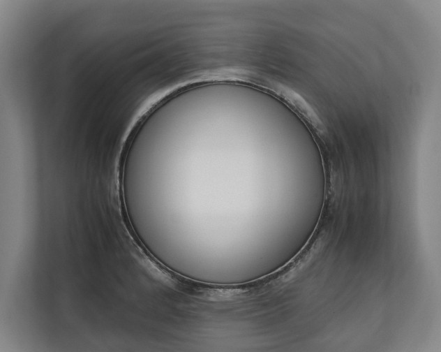 X0000111141184200907071043