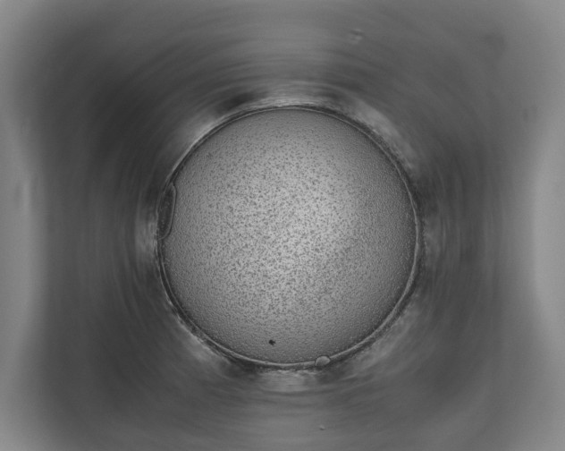 X0000111141185200907071043