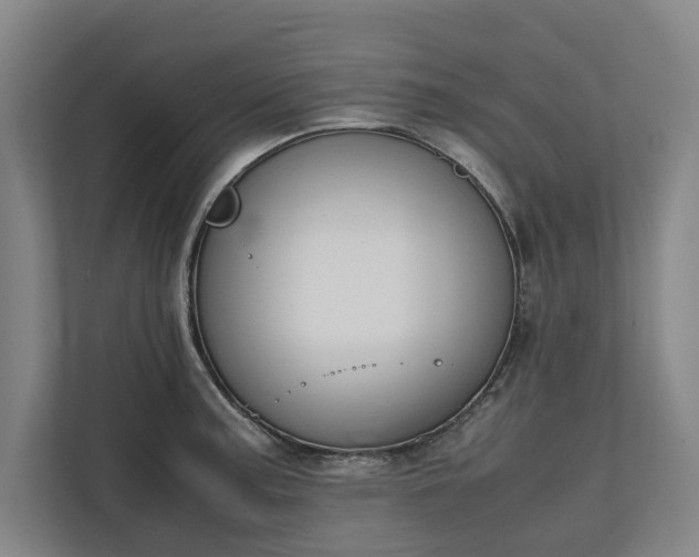 X0000111141187200907071043