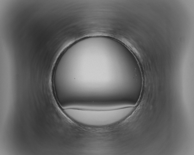 X0000111141189200907071043