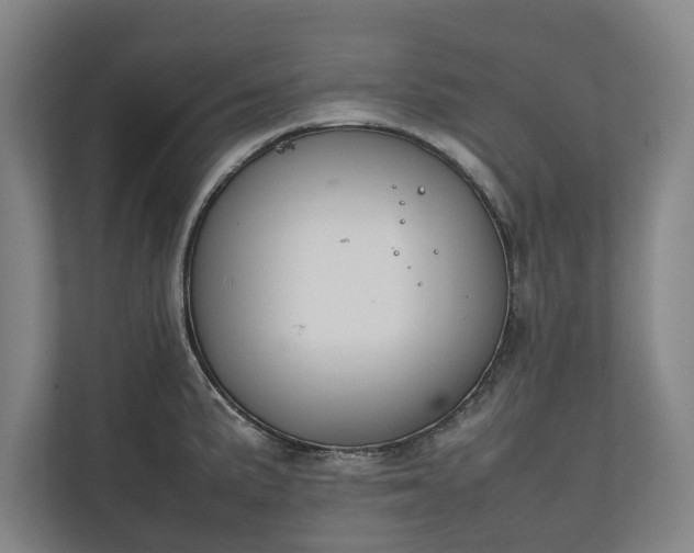 X0000111141191200907071043