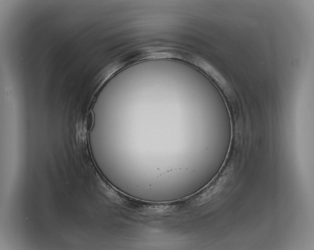 X0000111141193200907071043