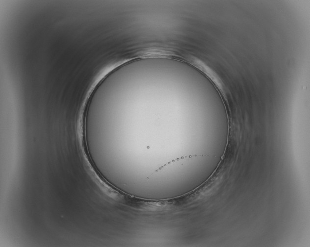 X0000111141195200907071043