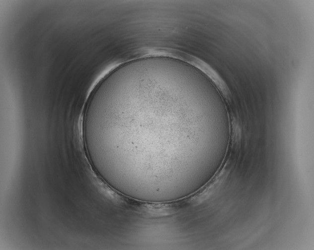 X0000111141198200907071042