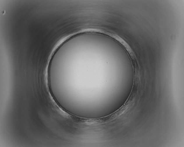 X0000111141199200907071042