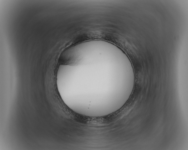 X0000111141201200907071042