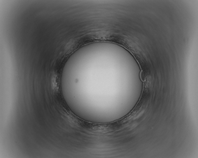 X0000111141202200907071042