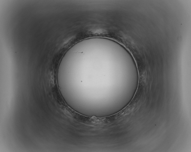 X0000111141205200907071042