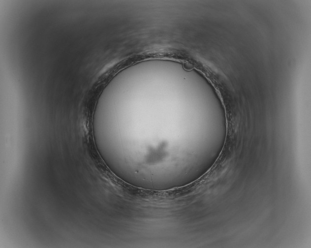 X0000111141206200907071042