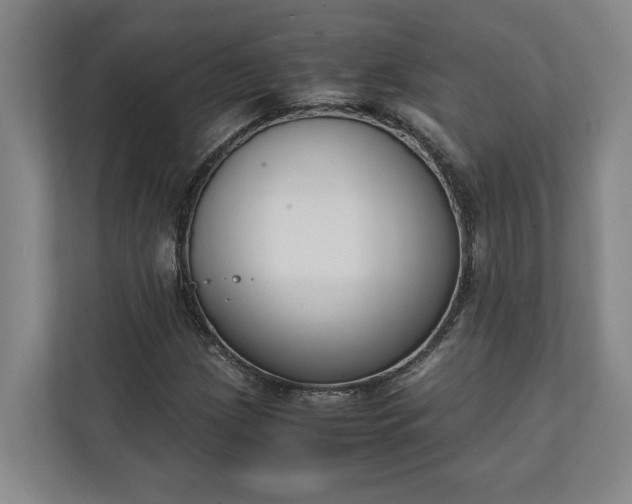 X0000111141209200907071042