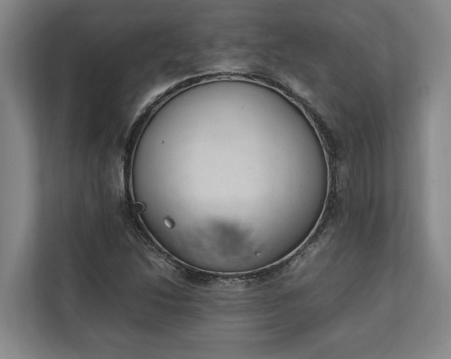 X0000111141214200907071042