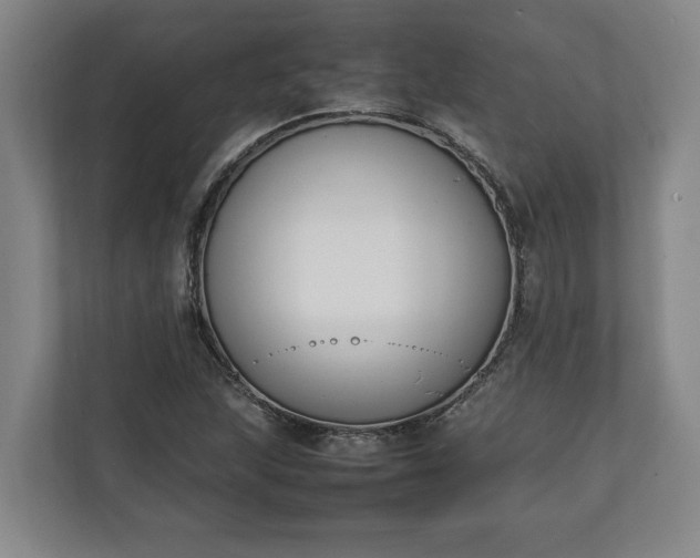 X0000111141215200907071042