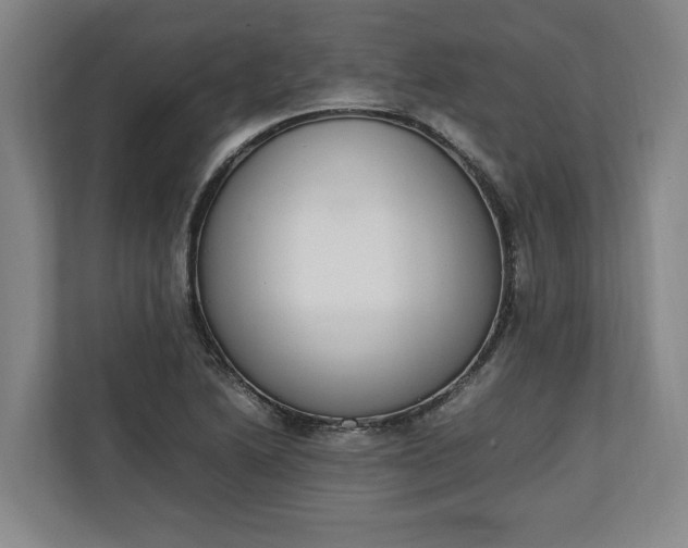 X0000111141222200907071042