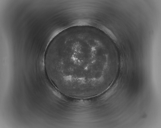 X0000111141226200907071042