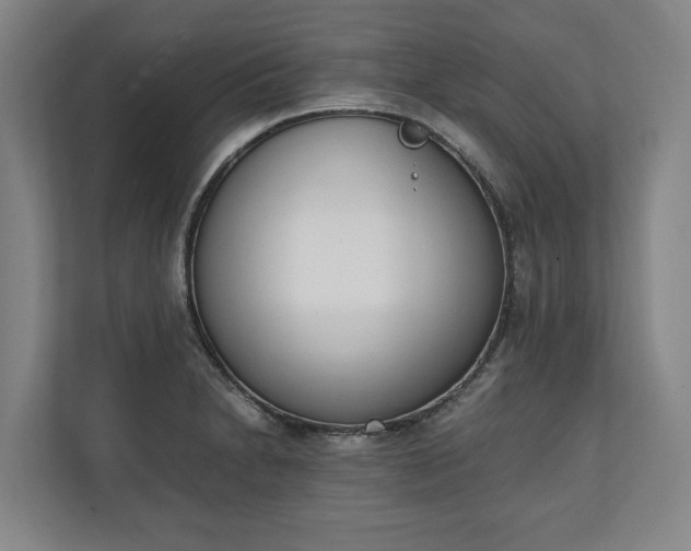 X0000111141230200907071042