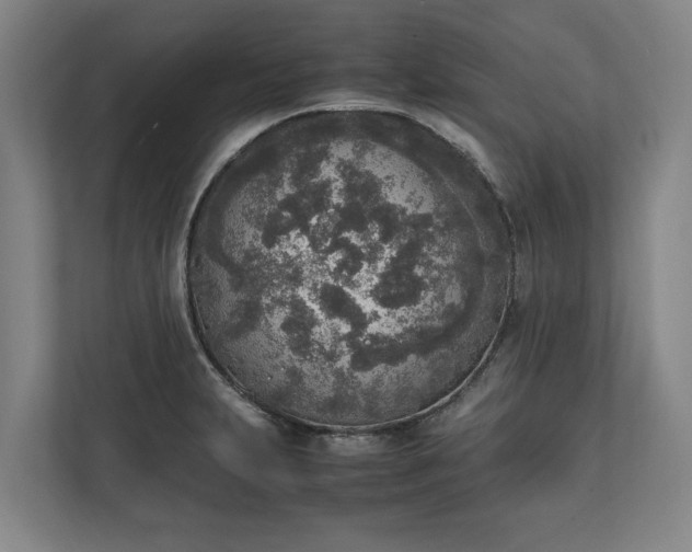 X0000111141231200907071042