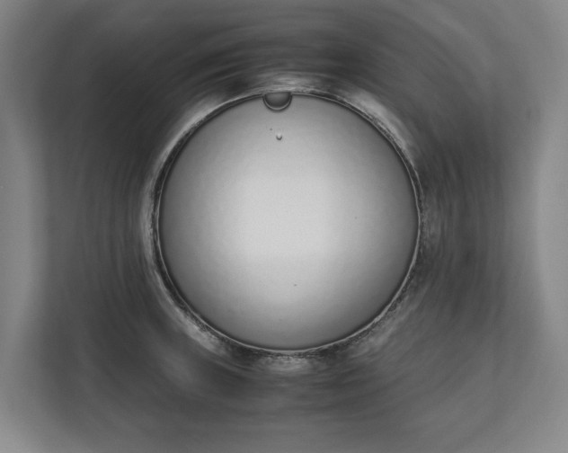 X0000111141235200907071042